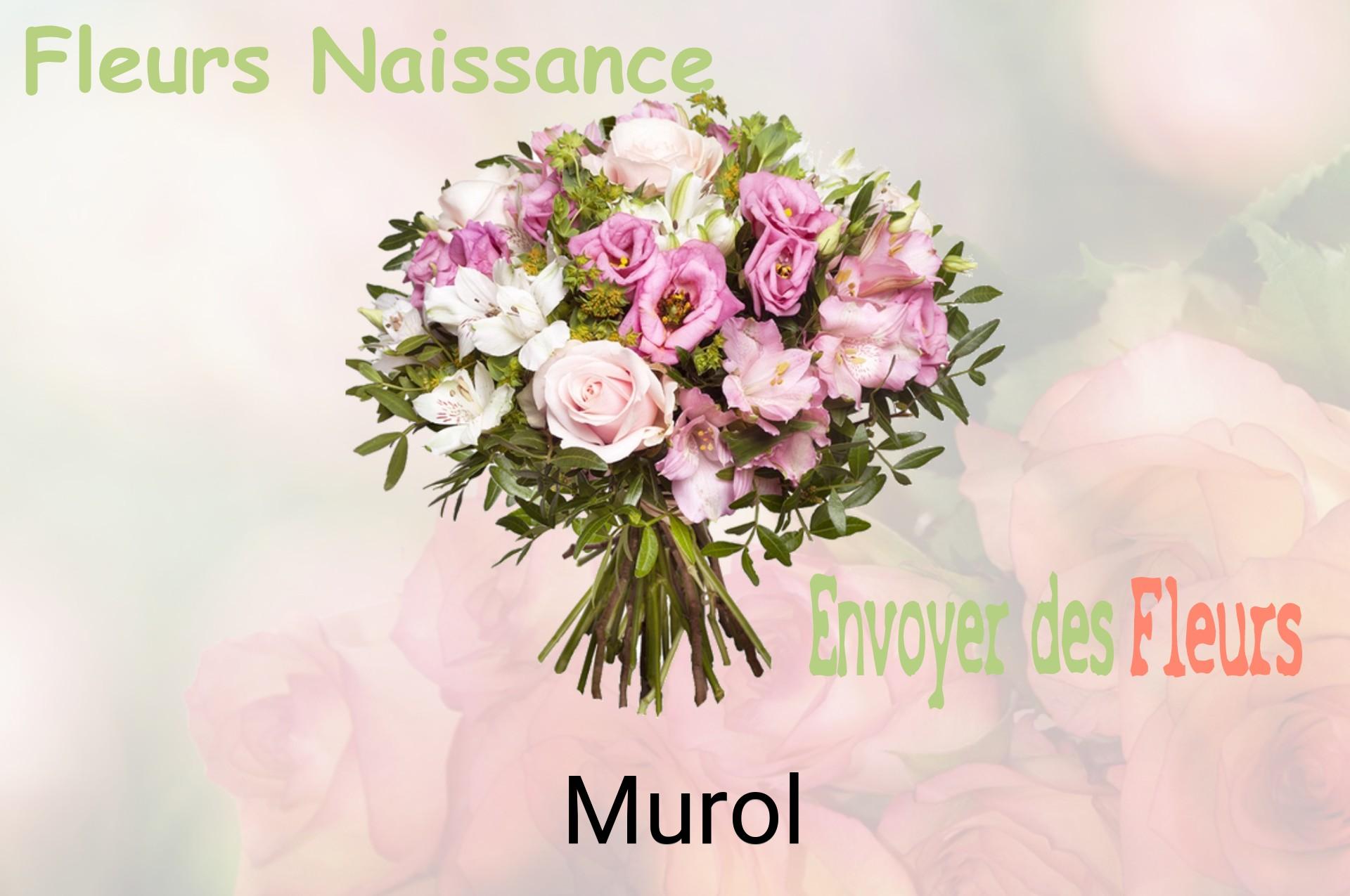 Bouquet de fleurs de naissance livré à Murol