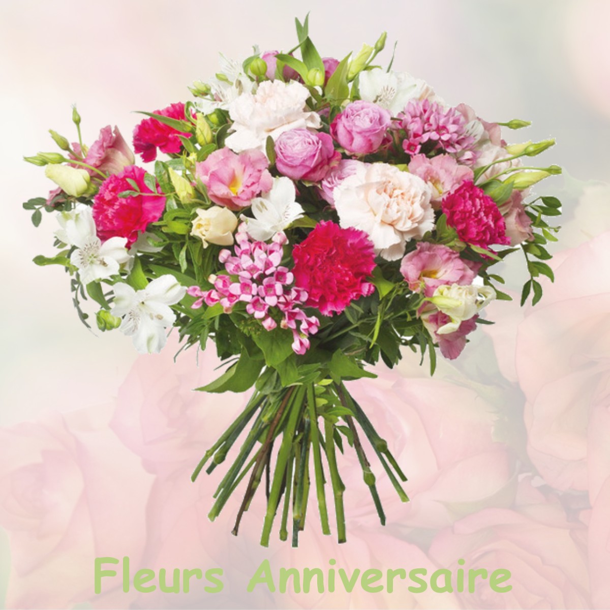 fleurs anniversaire MUROL